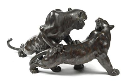 Période Meiji (1868-1912) Grand groupe en bronze représentant deux tigres combattants,...