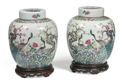 Chine XIXe siècle Paire de pots à gingembre en porcelaine et émaux de la famille...