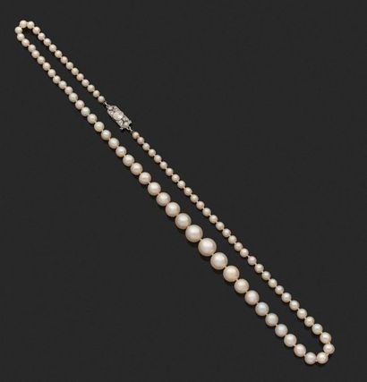 COLLIER «PERLES FINES»
Chute de 85 perles...