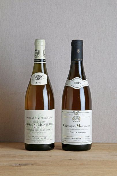 null 1 B CHASSAGNE-MONTRACHET LA ROMANÉE Blanc (1er Cru) e.l.a. - 2005 - Paul Pillot

1...