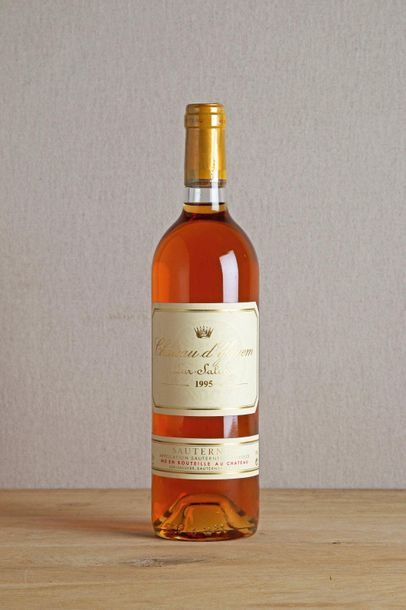 null 1 B CHÂTEAU D'YQUEM - 1995 - C1 Supérieur Sauternes