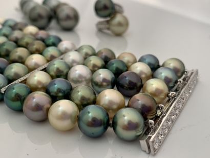 null SET "PERLS DE TAHITI"
Bracelet, ring and earrings
Tahitian pearls, round diamonds...