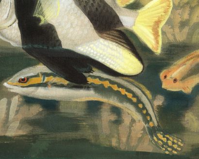 LE PHO (1907-2001) 
Four Fish



Ink and color on silk, signed lower left

9 x 11...