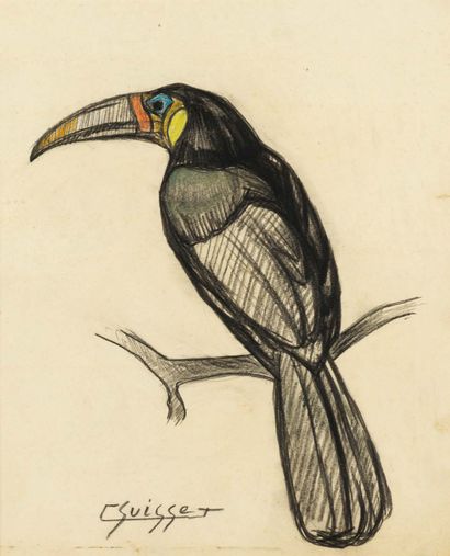 GASTON SUISSE (1896-1988) "TOUCAN" Pencil, charcoal and oil pastel Signed lower left...