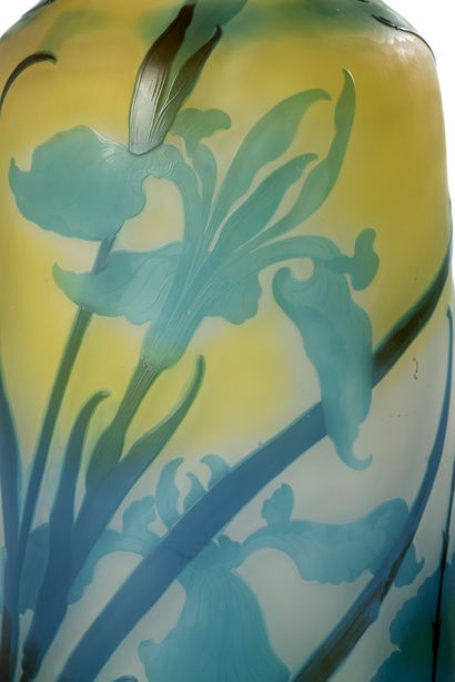 ÉTABLISSEMENTS GALLÉ "IRIS ET LIBELLULES"
Very large truncated cone-shaped vase,...