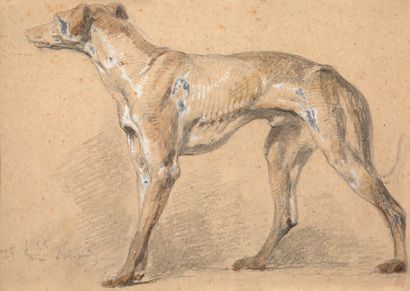Ecole Moderne Greyhound
Black chalk heightened with white gouache
Signed and dated...