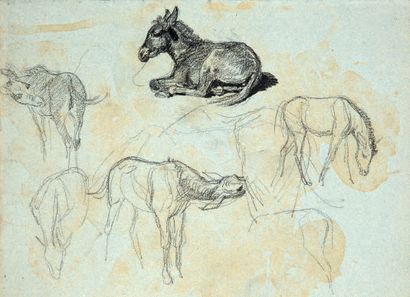 FRANÇOIS HYPPOLITE DELALAISSE, Etude d'animaux dont un petit ânon allongé
Pencil...