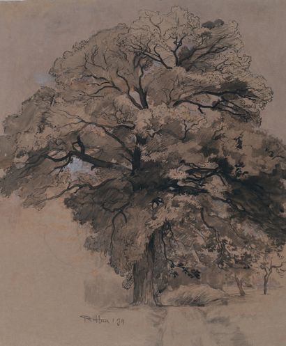 RENÉ-ERNEST HUET VILLERS-BOCAGE, 1886 - 1914, MAMETZ Etude d'arbre
Crayon, encre...