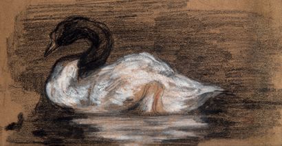 Eugène DELACROIX Study for a swan
Charcoal, white chalk and pastel
Delacroix workshop...