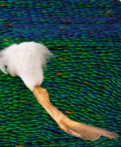 JAN FABRE (né en 1958) 
莱达，死亡天使，2004

木头和天鹅上的鞘翅类动物壳

木头和天鹅上的鞘翅类动物壳

125 x 295 x 170厘米...