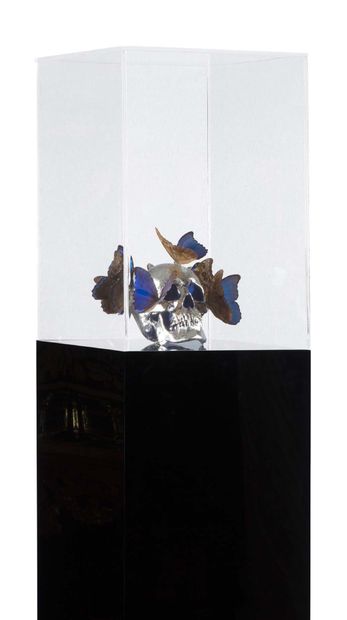 PHILIPPE PASQUA (né en 1965) 
蝴蝶头

树脂、有机玻璃、归化蝴蝶

180 x 50 x 40厘米

70 55/64 x 19 11/16...