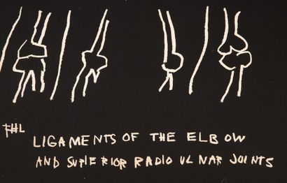 JEAN-MICHEL BASQUIAT (1960-1988) 
Ligaments of the elbow

Sérigraphie tirée de la...