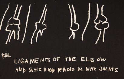 JEAN-MICHEL BASQUIAT (1960-1988) 
Ligaments of the elbow

Serigraph from the series...