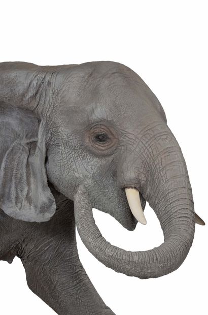TRAVAIL ANONYME (XX-XXI) 
Elephant

Painted fiberglass, metal, fiber and mixed media

253...