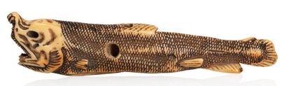 JAPON XIXE SIECLE Netsuke en ivoire rehaussé de brun représentant un poisson séché.
L....