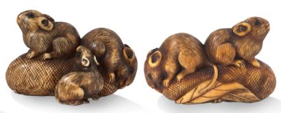 Japon Période Meiji (1868-1912) 
Two ivory netsuke with brown highlights, one representing...