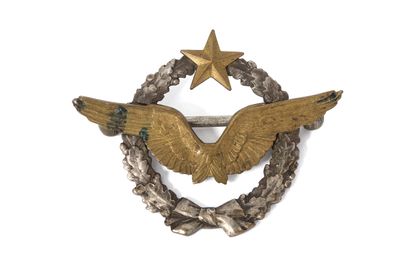 Insigne d'aviateur Insigne d'aviateur Première Guerre Mondiale

Petit numéro : 1799

Délivré...