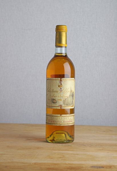  1 B CHATEAU D'YQUEM (e.t.a.) - 1981 - C1 Supérieur Sauternes