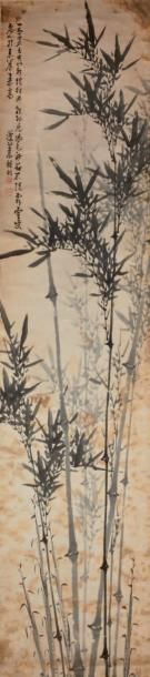 null Bambous, par Zhen Ming (-) XIXe siècle. Rouleau vertical, encre sur papier....