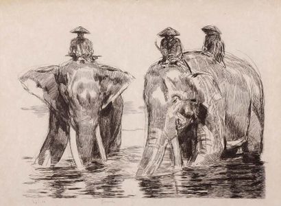 PAUL JOUVE (1978-1973) «Couple d'éléphants asiatiques» Lithographie sur papier. Signée...