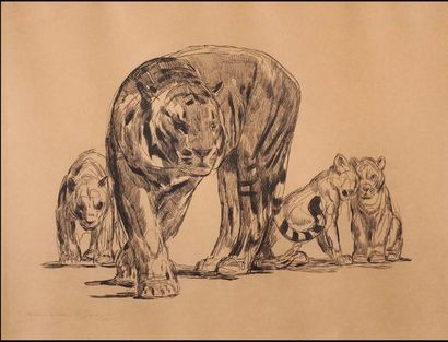 PAUL JOUVE (1878-1973) «Tigresse et ses petits» Lithographie sur papier. Signée en...