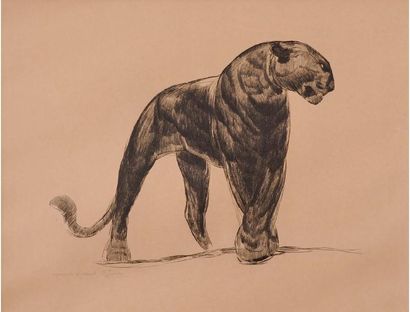 PAUL JOUVE (1878-1973) «Panthère noire marchant» Lithographie sur papier. Signée...