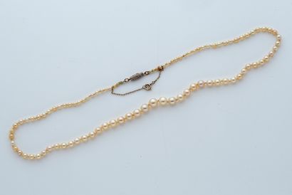  «PERLES FINES» Collier de 93 perles fines en chute Fermoir diamants taille rose...