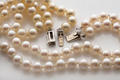 CARTIER Ensemble composé d'un collier et d'un bracelet
Perles de culture, rubis et...