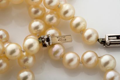 CARTIER Ensemble composé d'un collier et d'un bracelet
Perles de culture, rubis et...