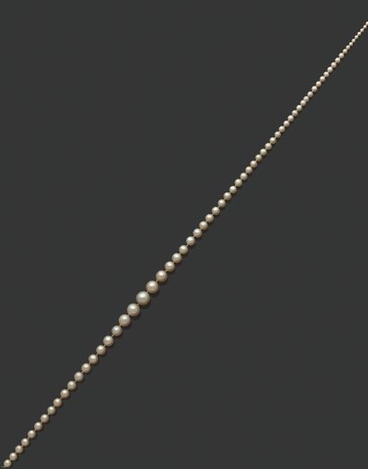 «PERLES FINES» Collier de 113 perles fines...