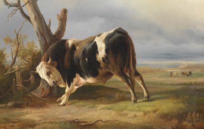 JACQUES RAYMOND BRASCASSAT BORDEAUX, 1804 - 1867, PARIS 
Bull near a tree, 

signed...