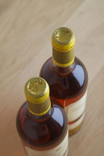 null 2 B CHÂTEAU D'YQUEM (1 B.G; 1 e.l.s.) - 1981 - C1 Supérieur Sauternes