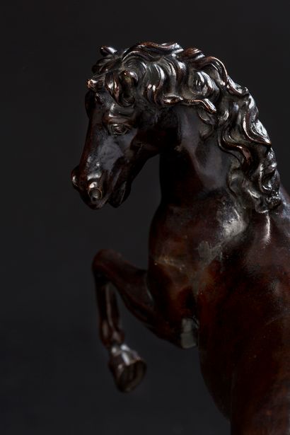 D'APRÈS FRANCESCO FANELLI (1590-1653) 
Cheval cabré
Bronze à patine brune
École française...