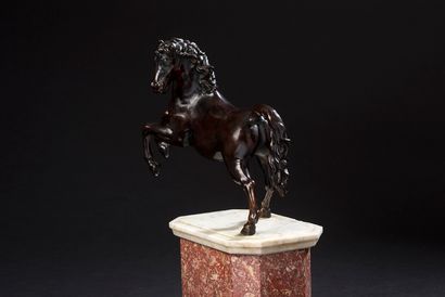 D'APRÈS FRANCESCO FANELLI (1590-1653) 
Cheval cabré
Bronze à patine brune
École française...