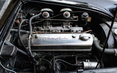 1959 Austin-Healey 3000 MKI BN7 
最理想的大希雷

业绩记录

准备上路



法国收藏家的登记

底盘编号HBN7/9717



奥斯汀-海利3000是一款运动型跑车，于1959年推出，以取代系列中的100/6。这个型号得到了...