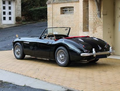 1959 Austin-Healey 3000 MKI BN7 
The most desirable Big Healey

Known history

Ready...