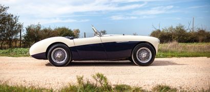 1954 Austin-Healey Collection Nicoules 100/4 BN1