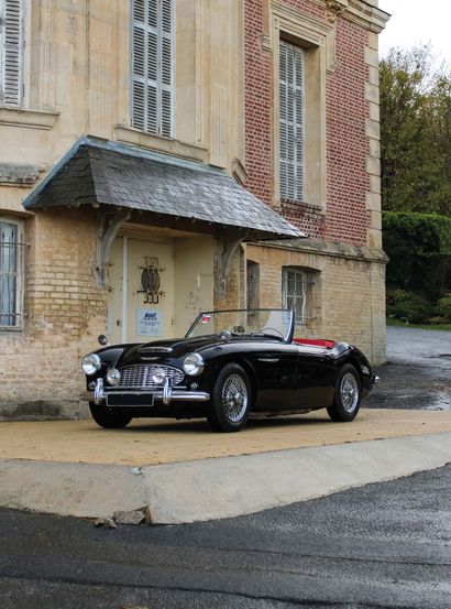 1959 Austin-Healey 3000 MKI BN7 
The most desirable Big Healey

Known history

Ready...