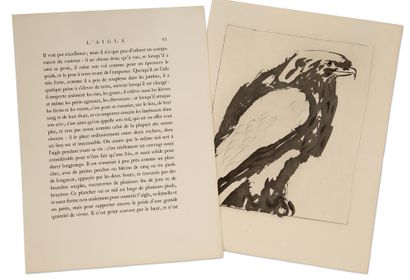PICASSO Pablo (1881-1973). 
BUFFON.



Original etchings for texts by Buffon (Paris,...