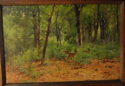 Edouard PAIL (1851-1916) Chevreuils dans la forêt Huile sur toile, signée en bas...