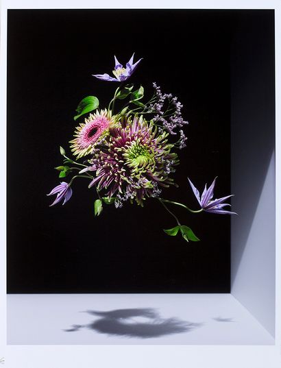 Floating Nature #8 par Isabelle Bonjean 42 x 60 cm, papier photo 

On y joint un...