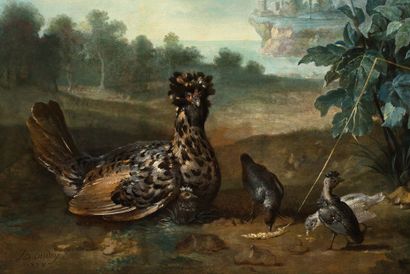 JEAN-BAPTISTE OUDRY & ATELIER PARIS, 1686 - 1755, BEAUVAIS 
Poule de Houdan et ses...