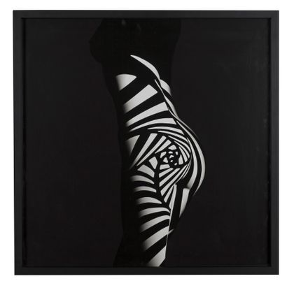 Francis Giacobetti (né en 1939) 
Zebra 004, 1999

照片，编号为3/10，在镜框背面签名

80 x 80厘米

31...