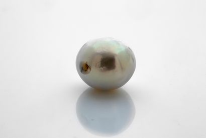 null 
"FINE PEARL 

Fine pearl pierced and rounded

Weight : 5.95 carats

Accompanied...