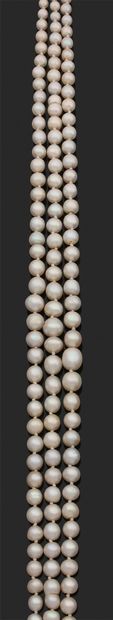 null 
COLLIER «PERLES FINES» Chute de 3 rangs de 170 perles fines et 3 perles de...