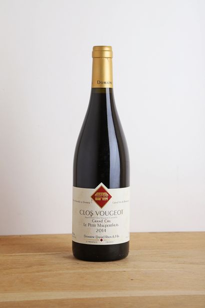 null 1 B CLOS-VOUGEOT LE PETIT MAUPERTUIS (Grand Cru) - 2014 - Domaine Rion & Fi...