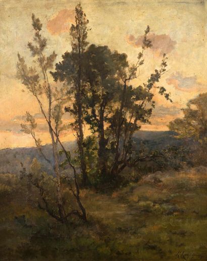 Henri Joseph HARPIGNIES (1819 - 1916) 
Bouquet d'arbres, effet de soleil couchant

Huile...