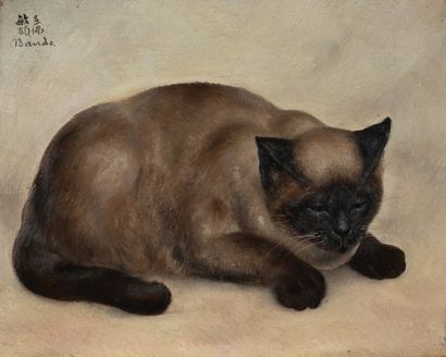 Toshio BANDO (1895 - 1973) 
躺着的暹罗猫

布面油画

左上角有签名

布面油画，左上角有签名

22 x 27 cm - 8 5/8...