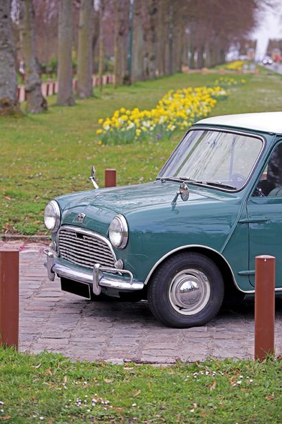 null 1966 - Austin Mini Countryman Mk1



Carte grise française de collection

Châssis...