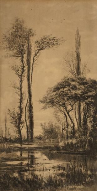 Auguste ALLONGE (1833-1898) Arbres à la rivière Fusain, signé en bas à gauche 41...